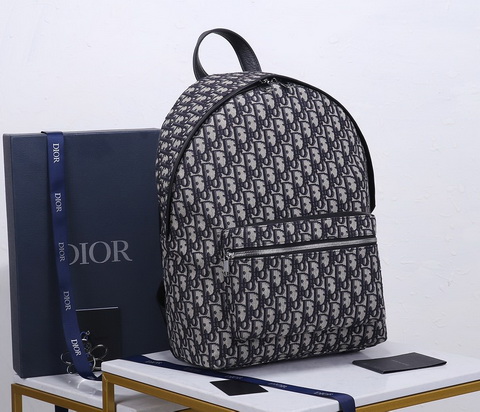 Christian Dior backpack Oblique 93328 classic pattern